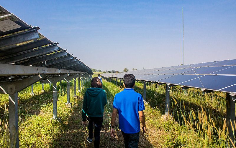 People walking through a solar farm.